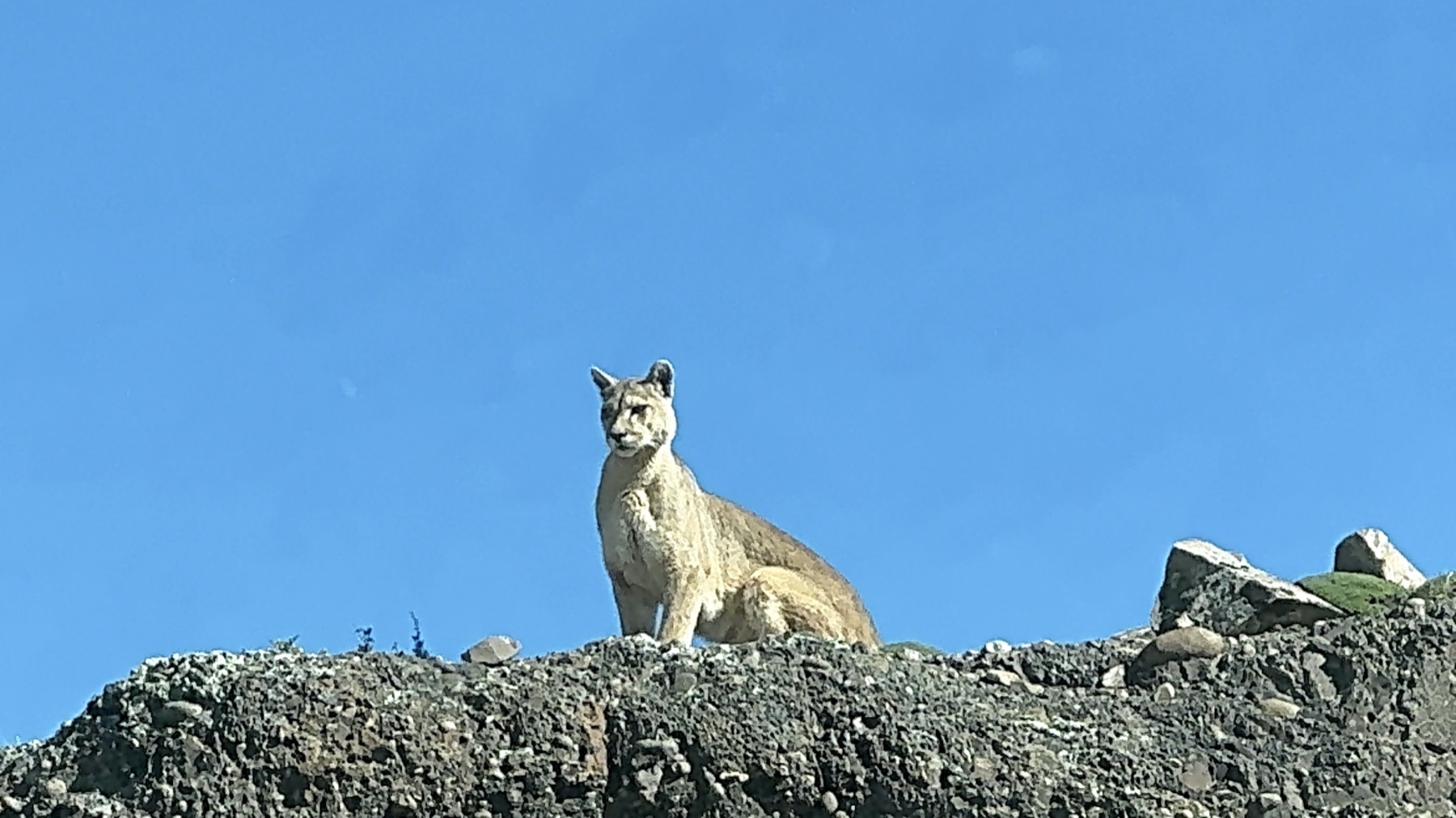 Fauna & paisagem
